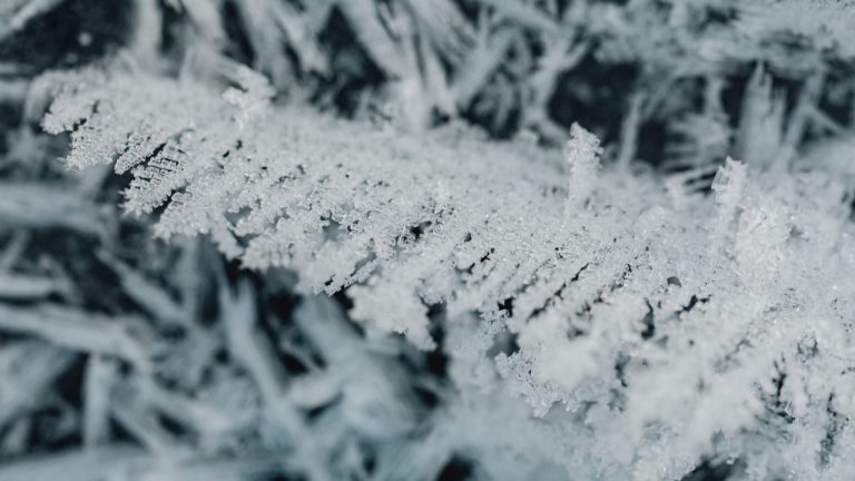 Gel des canalisations à Blain : comment l’éviter et que faire en cas d’urgence ?